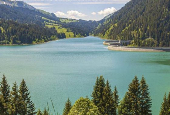 Bilateral Trade with Switzerland